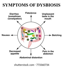 dysbiosis nausea