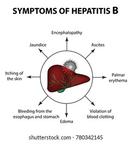 Symptoms Hepatitis B Liver World Hepatitis Stock Illustration 780342145 ...