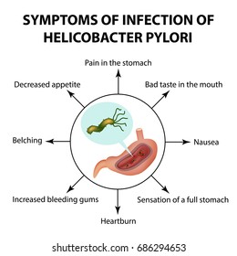 Symptoms Of Infection Of Helicobacter Pylori. Infographics. Illustration On Isolated Background.