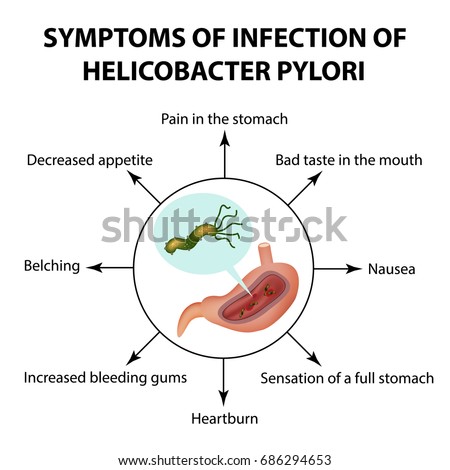 Dissertation h helicobacter infection pylori