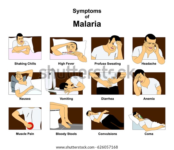 マラリアのインフォグラフィック図とコンセプト図の症状 例えば 発振する寒気熱 吐き気性頭痛 下痢性貧血 医学教育用昏睡 のイラスト素材