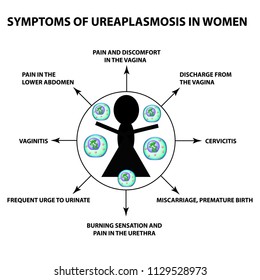 ureaplasma symptoms structure stds illustration shutterstock infographics isolated background