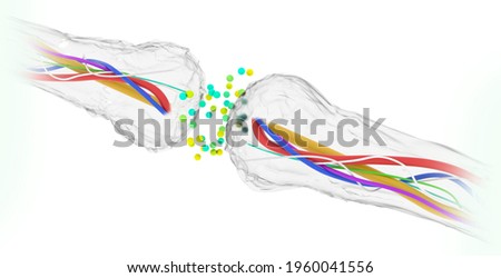 Synapse connections. Structure that permits a neuron (or nerve cell) to pass an electrical or chemical signal to another neuron or to the target efferent cell. Nervous system. Brain. 3d render