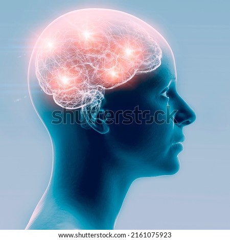Synapse connections. Structure that permits a neuron to pass an electrical or chemical signal to another neuron or to the target efferent cell. Nervous system. Brain. Face, side view. 3d rendering 