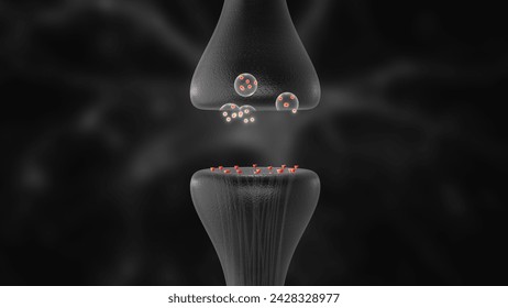 Synaptic transmission between nerve cells 3d illustration