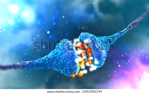 Synaptic transmission. Structure of a\
typical chemical synapse. 3D\
illustration