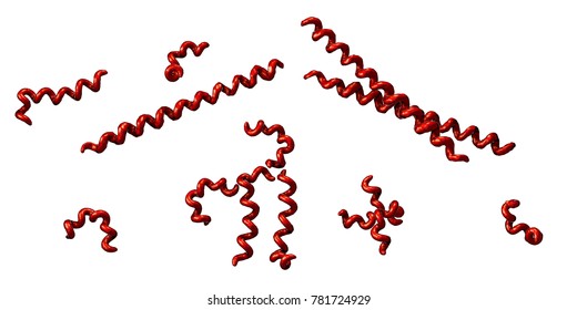 Syphilis Bacteria Treponema Pallidum Isolated On White Background, 3D Illustration