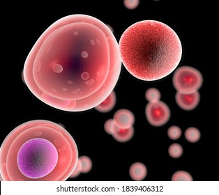 ナチュラルキラー細胞 のイラスト素材 画像 ベクター画像 Shutterstock