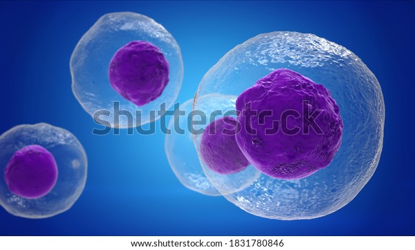 T Cells\
attacking Cancer Cells, 3D\
illustration