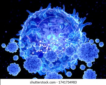 T Cells Play A Key Role In The Development Of Long-term Immunity. To Coronavirus. Helper T Cells Stimulate B Cells And Other Immune Cells.  3d Rendering