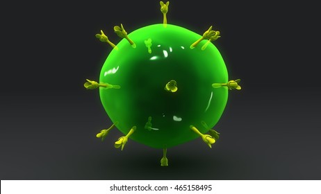 T Helper Cell 3d Illustration 