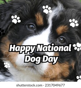 t National Dog Day poster with fun texts  - Powered by Shutterstock