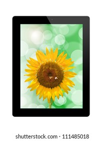tablet pc with sunflower  isolated on background white