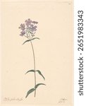Tak van een flox (c. 1775 - c. 1825) by Willem van Leen. Vintage painting by Willem van Leen famous artist. Famous painting illustration by Willem van Leen.