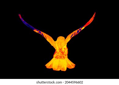 Takeoff. The View Of A Bird Taking Off From Behind, The Flapping Of Its Wings (wingbeat) At The Moment Of Ascent. Illustration Of Thermal Image