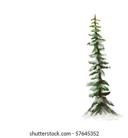 tall mountain pine tree