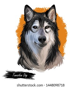 do tamaskan dog like to cuddle