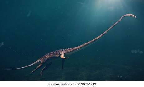 Tanystropheus, Extinct Reptile From The Middle To Late Triassic Epochs (3d Rendering)