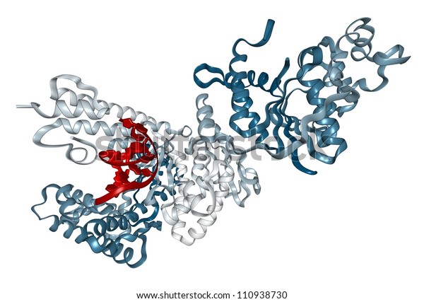 TaqポリメラーゼPCR酵素：dnaのクローニングと配列決定に不可欠なポリメラーゼ連鎖反応(PCR)の主要成分である、耐熱性DNAポリメラーゼタンパク質。