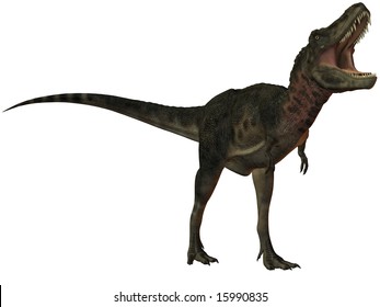 51 Tarbosaurus bataar Images, Stock Photos & Vectors | Shutterstock