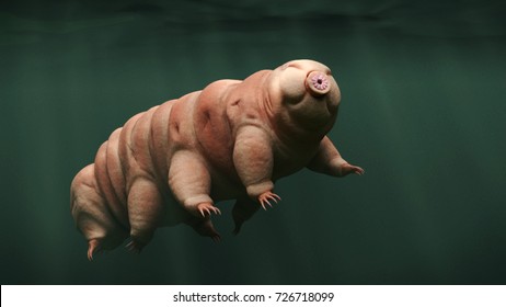 Tardigrade, Swimming Water Bear, 3d Illustration