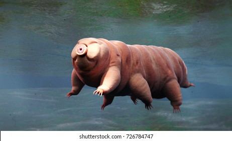 Tardigrade, Swimming Water Bear, 3d Render