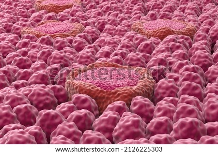 Taste bud receptor fields on the tongue - closeup view 3d illustration Stock photo © 