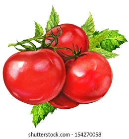 tasty tomatoes, watercolor painting on white background