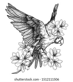 bird drawings for tattoos