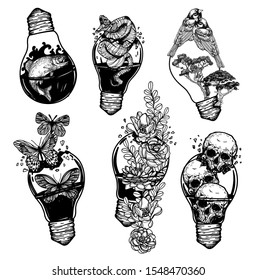 Tattoo art light bulb vintage that contains various things hand drawing