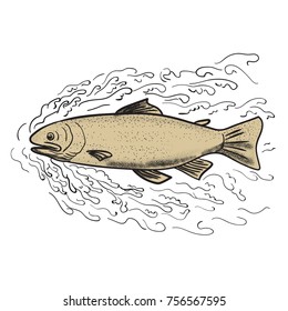 Tattoo Style Illustration Of A Brown Trout Forging Ahead Through Waves On Isolated Background.