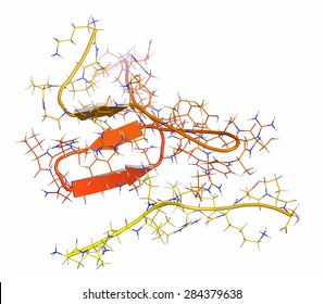 Tau Protein Fragment. May Play A Role In Alzheimer's Disease. Cartoon + Line Representation. N-to-C Gradient Coloring.

