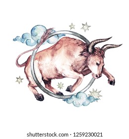 Taurus - Zodiac Symbol. Watercolor Illustration.