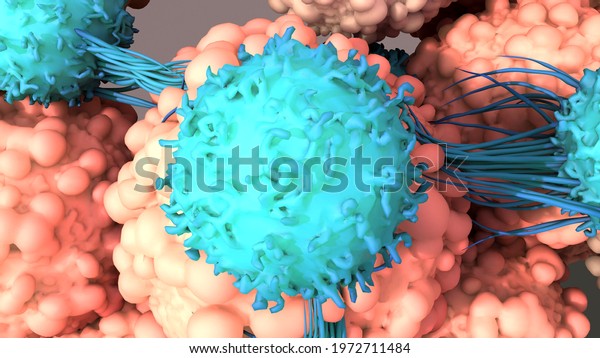 T-Cells Work to Fight Cancer, Immunotherapy,\
\
CAR T-cell therapy, 3d\
illustration