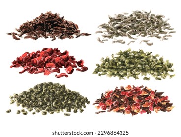 Tea brew assorted set. Black, white, gunpowder, fruit, karkade, white, green, sencha.  Hand drawn watercolor illustration, isolated on white background
