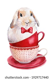 919 Bunny Tea Party Images, Stock Photos & Vectors 