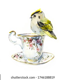 Tea Time. Titmouse sits on a cup with tea. Invitation to tea drinking. Watercolor hand drawn illustration.