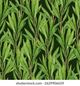 Tea tree branch seamless pattern watercolor illustration. Melaleuca alternifolia vintage style decor element. Tea tree leaves on dark background. Medicinal aroma scented medicinal plant decoration