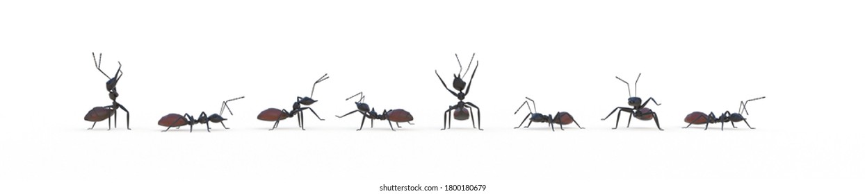 team work concept with ants 3D rendering