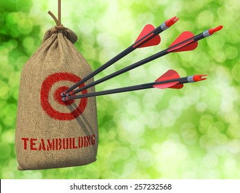 Teambuilding - Three Arrows Hit in Red Target on a Hanging Sack on Natural Bokeh Background. - Powered by Shutterstock