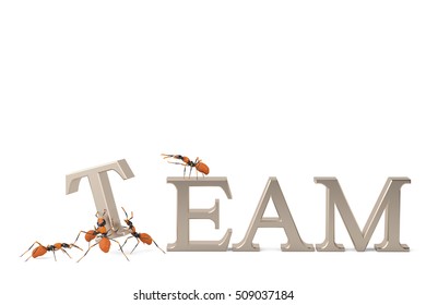 Teamwork cooperation and collaboration ants building steel text team.3D illustration.