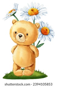 Teddy bear  