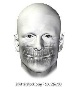 Teeth Dental Scan X-ray Of Adult Male. 3d Illustration On White Background.