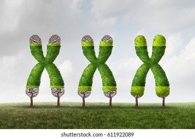 Telomere growth and longer length as a DNA medical concept as a chromosome tree with growing end caps as a symbol for aging and genetic protection for longer life or longevity with 3D illustration.