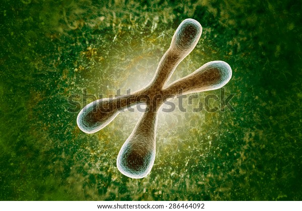 shutterstock