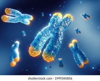 Telomeres are found on both ends of chromosomes, 3d illustration. Telomere length is affected by lifestyle and has direct impact on human health and lifespan.