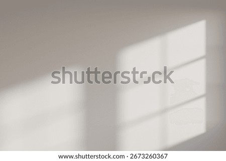 Template of blurred window shadows on a blank white wall. Sunlight with a shadow overlay effect. Interior backdrop mockup. 3d render
