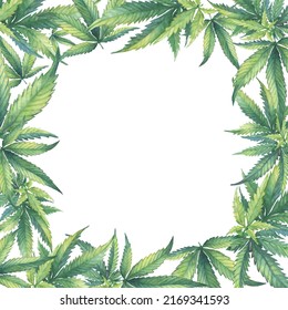 Template, frame with a green branch of Cannabis sativa (Cannabis indica, Marijuana) medicinal plant. Watercolor hand drawn painting illustration isolated on a white background.