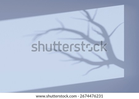 Template of ominous moonlight shadow of a leafless branch on a white blank wall. Halloween mood. Window shadows. Overlay mask. Interior backdrop mockup. 3d render