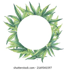 Template, round frame with a green branch of Cannabis sativa (Cannabis indica, Marijuana) medicinal plant. Watercolor hand drawn painting illustration isolated on a white background. 